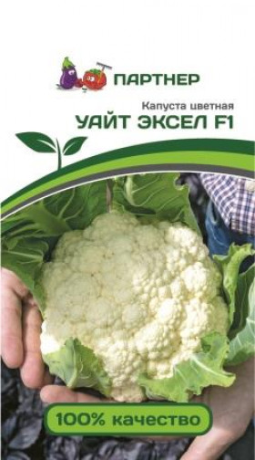 цветная Уайт Эксел 10шт Партнер