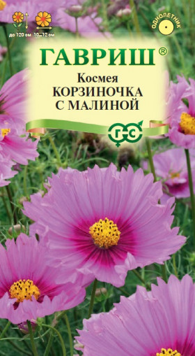 Корзиночка с малиной 0,3гр Ц(Г)