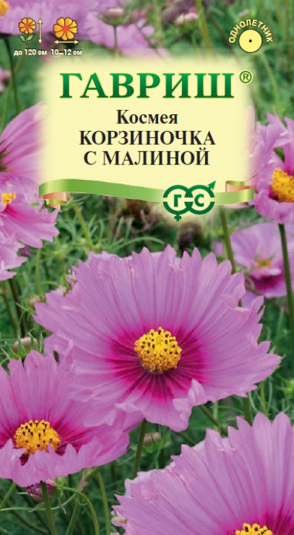 Корзиночка с малиной 0,3гр Ц(Г)