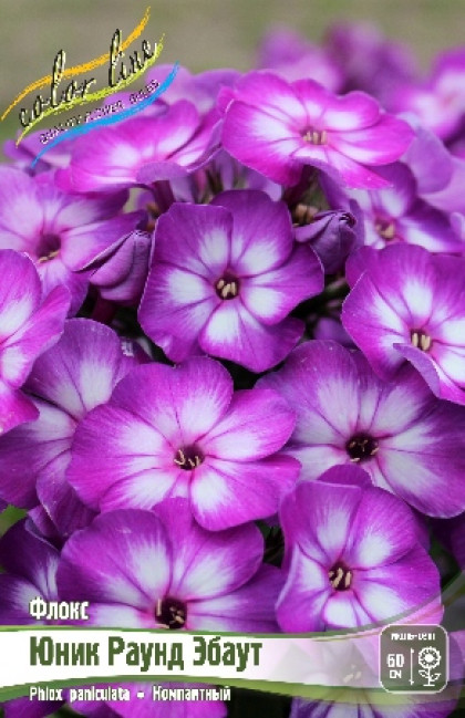 Юник Раунд Эбаут 2шт