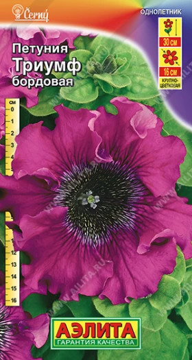 Триумф бордовая Ц(А)