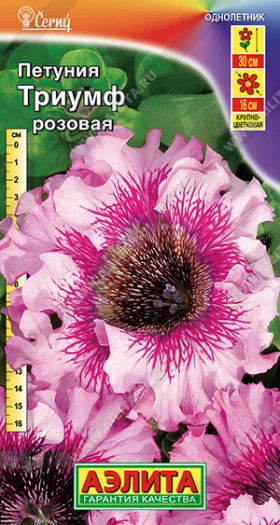 Триумф розовая Ц(А)