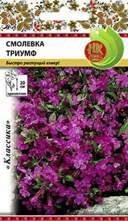 Триумф Ц(Н)