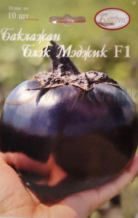Баклажан БлэкМэджик Каприс
