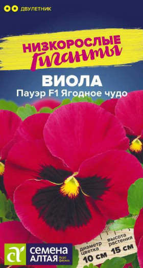 Пауэр Ягодное чудо 5шт Ц(Алт)