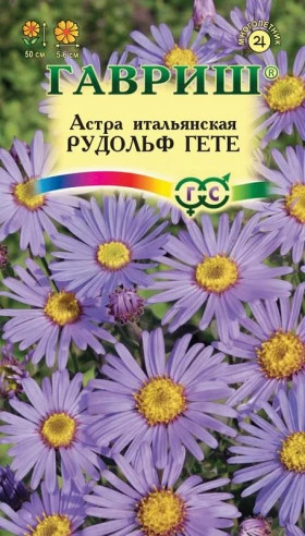 Рудольф Гете итальянская Ц(Г)