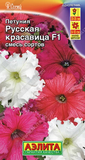 Русская Красавица крупноцвет.Ц(А)