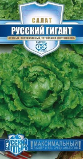 Русский Богатырь Ц(Г)