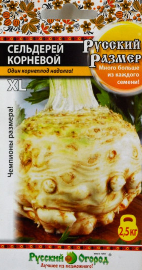 Русский размер корневой Ц(Н)