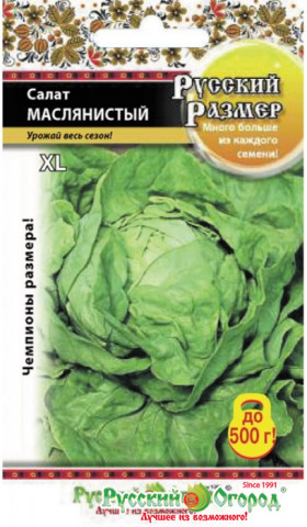 Русский Размер Маслянистый Ц(Н)