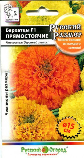 Прямостоячие Русский размер смесь Ц(Н)