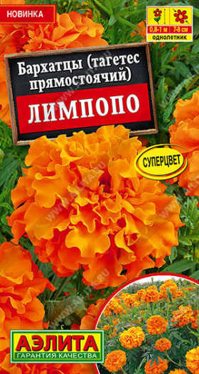 Лимпопо прямостоячие Ц(А)