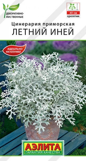 Летний Иней Ц(А)