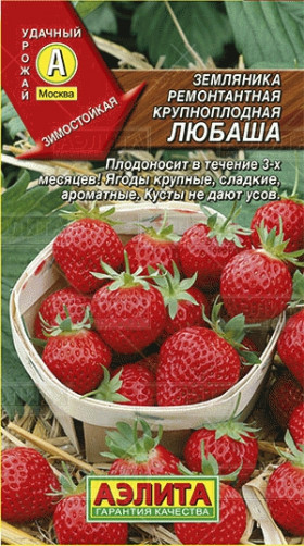 Любаша ремонт. крупн. Ц(А)