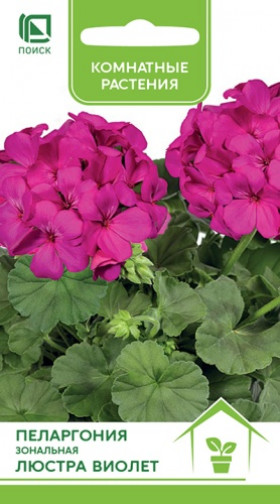 Люстра Виолет Ц(Поиск)