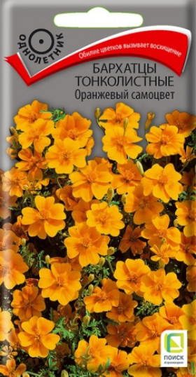Оранжевый самоцвет тонколистный Ц(Поиск)