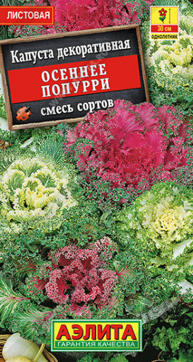 Осеннее попурри Ц(А)