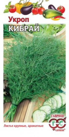 Кибрай 1+1 Ц(Г)