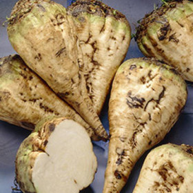 Каскад сахарная Ц(Поиск)