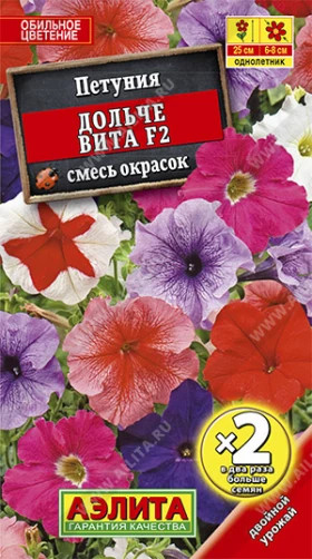 Дольче Вита Ц(А)х2