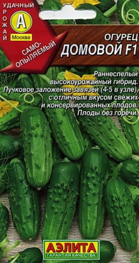 Домовой Ц(А)