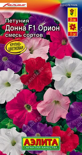 Донна Орион Ц(А)