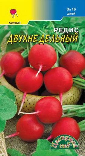 Двухнедельный /Цветущий Сад