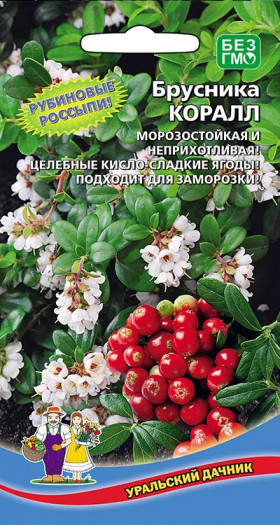 брусника Коралл Ц(УД)