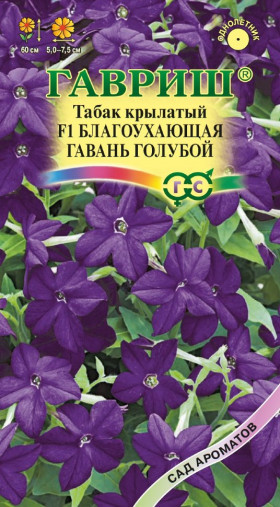 Благоухающая гавань голубой Ц(Г)