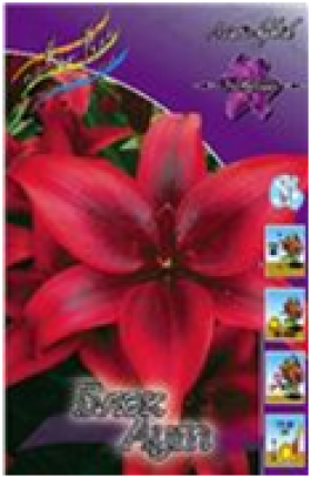 Блек Аут (азиат) 7шт