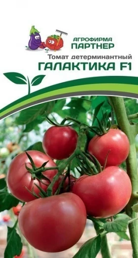 Галактика 10шт Партнер