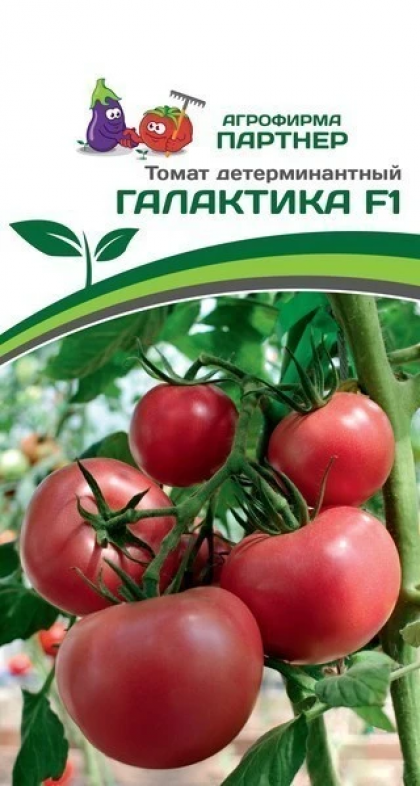 Галактика 10шт Партнер