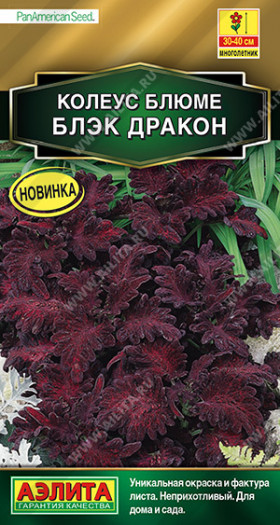 Блэк Дракон блюме Ц(А)