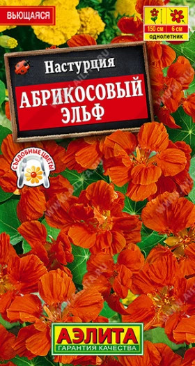 Абрикосовый эльф Ц(А)