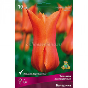 Балерина 10/11 (лил.) 8шт