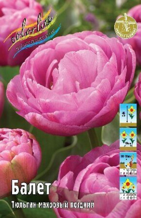 Балет 11/12 (махр.поздн) 7шт