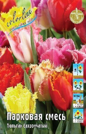 Бахромчатый Парковая Смесь 11/12 (бахр.) 7шт