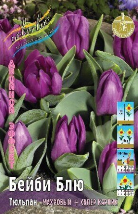 Бейби Блю 11/12 (2й эффект) 7шт