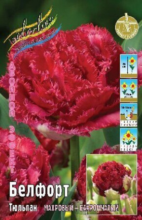 Белфорт 11/12 (2й эффект) 7шт