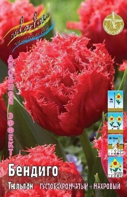 Бендиго 10/11 (2й эффект) 7шт