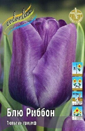 Блю Риббон 11/12 (триумф) 7шт