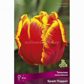 Брайт Пэррот 11/12 (попуг.) 7шт