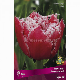 Брест 11/12 (2й эффект) 7шт