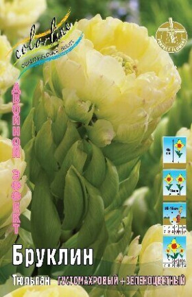 Бруклин 11/+ (2й эффект) 7шт