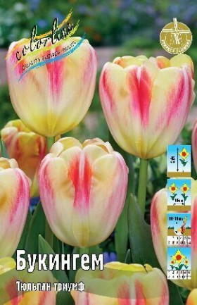 Букингем 11/12 (триумф) 7шт