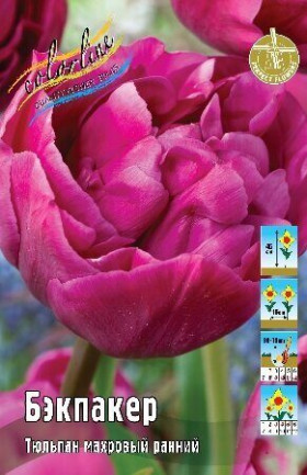 Бэкпакер 11/12 (махр.ранн.) 7шт