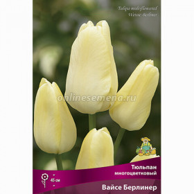 Вайс Берлинер 11/12 (мнгцв.) 7шт