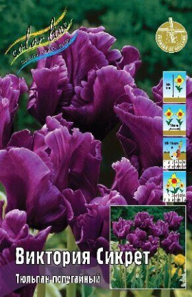 Виктория Сикрет 11/12 (попуг.) 5шт