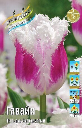 Гавайи 11/12 (бахр.) 7шт