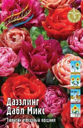 Даззлинг Дабл Микс 11/12 (махр.поздн) 6шт